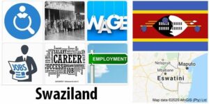 Swaziland Labor Market