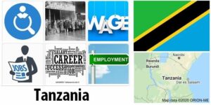 Tanzania Labor Market